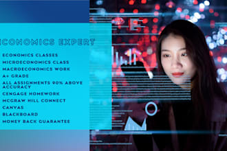 do economics classes for you
