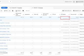 be your facebook ads and gohighlevel media buyer