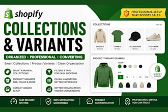 setup and organise a smart manual shopify variants, tags and collections