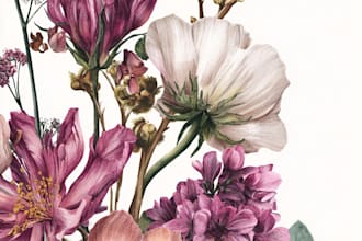 draw vector botanical illustrations of plants and flowers