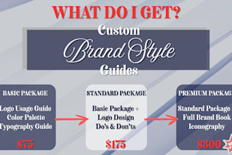 provide a professional brand style guide