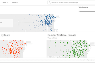 data analysis visualization dashboard  python r excel