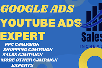 set up and management google ads and youtube video campaign