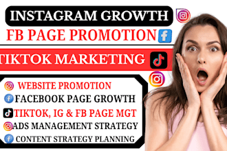 manage facebook promotion tiktok marketing instagram growth for website traffic