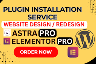 build a fast, SEO optimized wordpress website using elementor pro, astra, or div