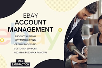 manage ebay seller account dropshipping or stock model