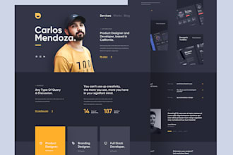 create portfolio website, resume website, cv website, forum and review sites css