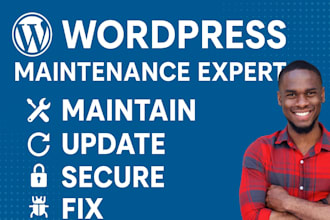 provide wordpress website maintenance and support