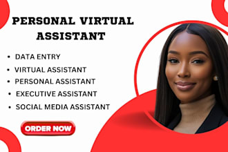 be your personal executive virtual assistant social media manager