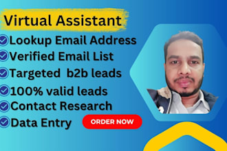 lookup email addresses email list contact details copy paste data entry