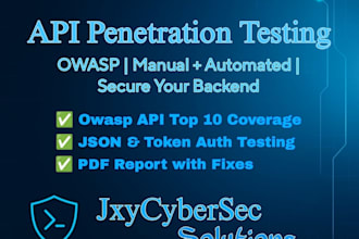 perform API security testing and provide detailed pentest report