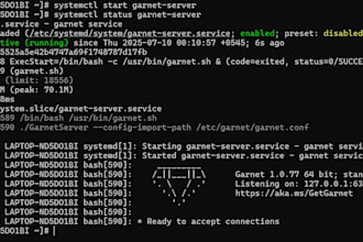 install microsoft garnet server on el