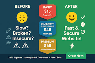 optimize, maintain and secure your website