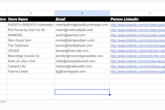 provide targeted ecommerce leads with verified emails and contact details
