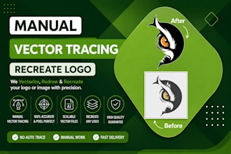 recreate and vectorize your logo or graphic design