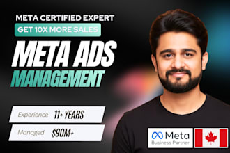 be professional meta ads manager, facebook ads, instagram ads