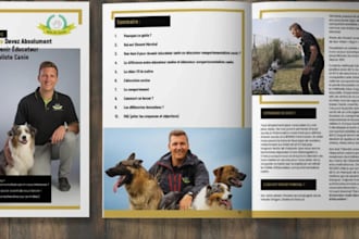 design lead magnet media kit,brand kit editable canva company profile template