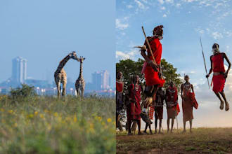 run any errand for you in kenya uganda or tanzania