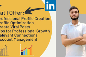 do professional linkedin profile optimization