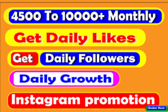 instagram promotion marketing and manage for super fast growth, page growth