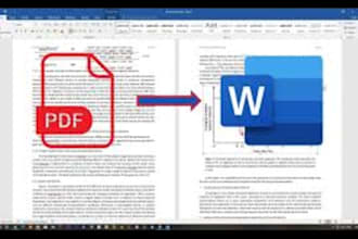 convert pdf to word excel within 1 hour