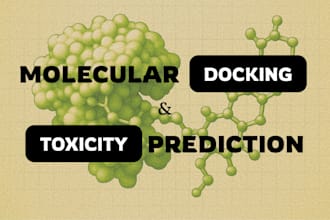 perform molecular docking and computational analysis