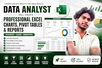 create professional excel charts, pivot tables and reports