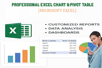 create professional excel charts, pivot tables and reports