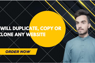 copy clone or duplicate any website