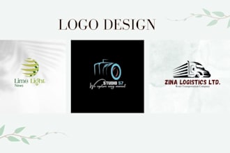 design professional modern 3d business logo design