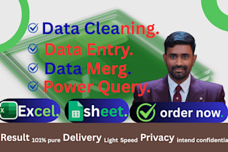 do excel data cleaning, data entry, formatting