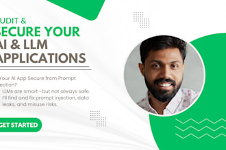 secure your llm or ai app from prompt injection and data leakage risks