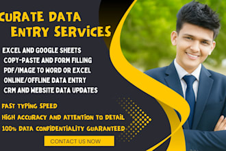 be your virtual assistant for data entry and web research