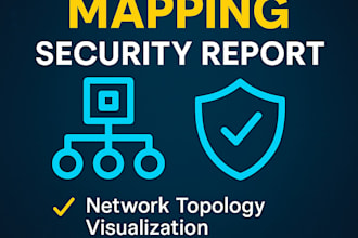 assess your network security and provide a professional audit report