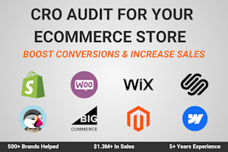 audit your ecommerce store and help increase your conversion rate