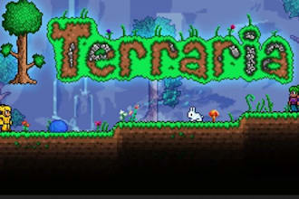 play terraria with you