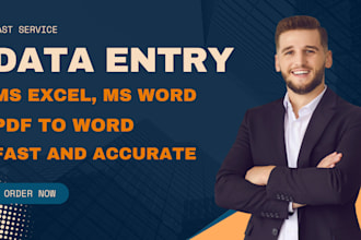 data entry, copy paste, pdf to excel