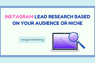 provide custom instagram lead research based on your audience or niche