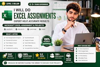 do urgent ms excel ,ms word assignments, powerpoint projects and modules