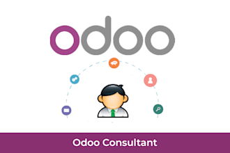 be your odoo functional consultant