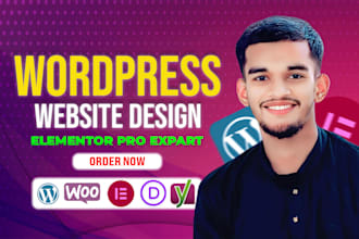 build wordpress website development, redesign wordpress using elementor pro