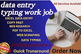 do data entry, typing, data entry typing work jobs, copy paste, excel data entry