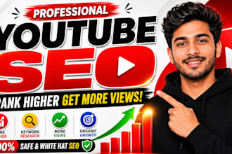 do professional youtube video seo to get organic traffic