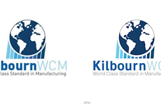 professionally vectorize or redraw your logo manually