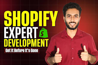 build shopify website dropshipping store website development and store design