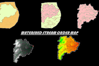 generate stream order maps using dem data