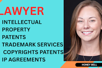 be intellectual property, and copyright infringement lawyer