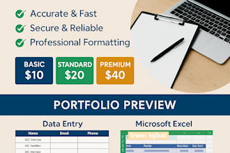 do data entry and all admin works
