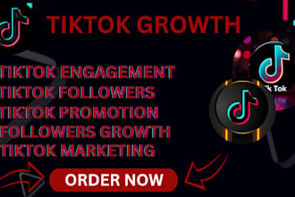 do tiktok promotion, tiktok management,  tikok marketing, tiktok ads,