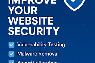 secure and audit your website professionally